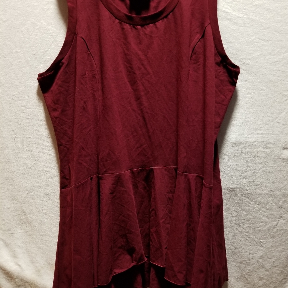 Fitted Tunic style sleeveless top
